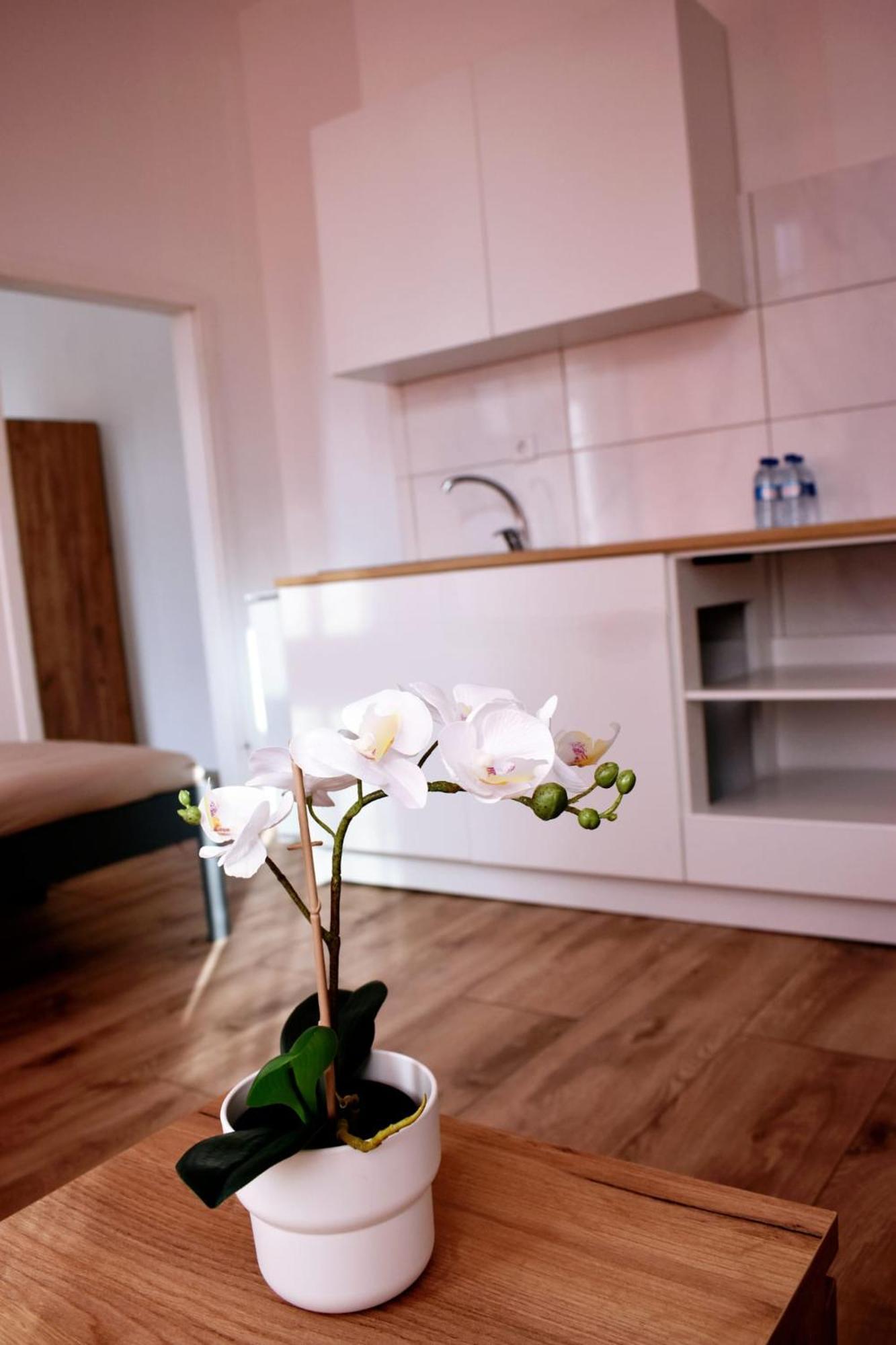 Hotel New Town Drezda Kültér fotó